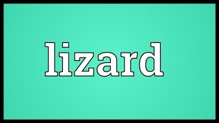 Lizard Meaning [upl. by Aihsek]