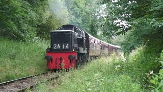 D9537 Gorsey Bank 27th July 2024 [upl. by Nimzay485]