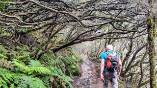 Tenerife 4K 🇪🇦  Circural Afur  Taganana Playa de Tamadiste [upl. by Benedicta]