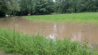 Hochwasser Neckar bei ReutlingenMittelstadt Pliezhausen am 02062024 [upl. by Benco]