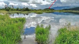 CERKNICA IN CERKNIŠKO JEZERO [upl. by Borszcz]