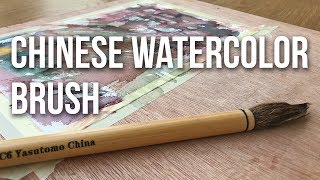 Chinese Watercolor Brush Review amp Demo [upl. by Neehar]