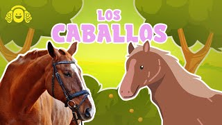 Curiosidades de CABALLOS🐴 Características Fascinantes de LOS CABALLOSVídeos caballos para niños [upl. by Bilat9]