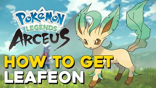 Pokemon Legends Arceus How To Get Leafeon How To Evolve Eevee into Leafeon [upl. by Rask]