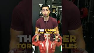 🔥The BEST Way To Burn Love Handles Fat [upl. by Laehcimaj]