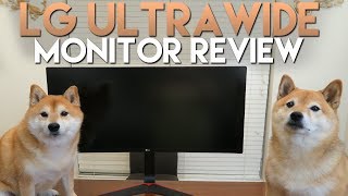 LG UltraWide Monitor Review 144Hz Zero Percent Sponsored Seriously [upl. by Esiled]