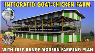 Integrated Goat and Poultry Farming Shed  Simple Integrated  Free Range Goat and Chicken Farm [upl. by Lindi]