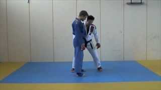 Lesson 3  Tani Otoshi  JiuJitsu Fighting Lesson JJIF Advanced Part 2 [upl. by Adnaugal]