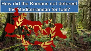 How Did Romans Manage to Not Cut Down All the Trees For Fuel [upl. by Alial772]