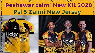 Peshawar Zalmi Launched New Kit for PSL 2020  PSL 2020 Updates [upl. by Mendie]