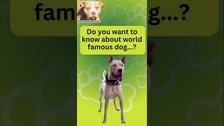 Is Your Dog Trying to Tell You Something [upl. by Neggem]