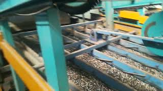 Sunflower Shell Separating Line  Sunflower Seed Oil Pressing  Sunflower Oil Production Machine [upl. by Marion]