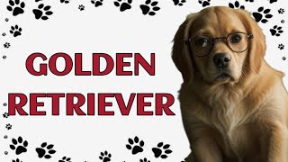 🐾 Golden Retriever The Beloved Family Companion [upl. by Ahseenak]