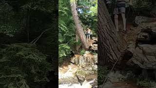 choke creek falls rope leap of faith [upl. by Dolorita]