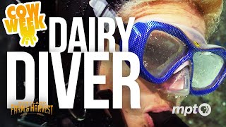 Dairy Diver  Cow Week [upl. by Seitz]