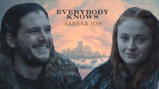 Sansa and Jon  Jonsa Edit Game of Thrones Ending [upl. by Booze]