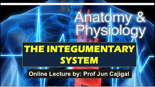 INTEGUMENTARY SYSTEM ONLINE LECTURE By Prof Jun Cajigal [upl. by Erlina]