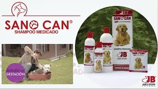 Sanocan Shampoo Medicado para Perros [upl. by Ainna]