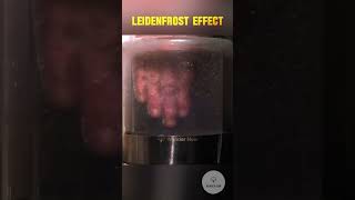 Touching Liquid Nitrogen 196ºC facts liquidnitrogen interestingfact experimentscience [upl. by Syman]