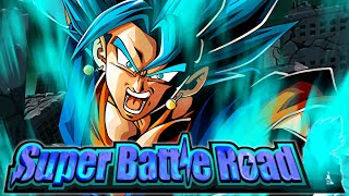 WE NEED A NEW TIME LIMIT LEADER NO ITEM RUN VS NEW TIME LIMIT SUPER BATTLE ROAD STAGE Dokkan [upl. by Niamart]