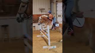 bigeq here we come horse equestrian haflinger horsejumping [upl. by Tsew]