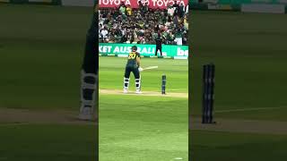 Ellis amp Hardie partnership in Pak vs Aus australia reels shorts short vlog trending cricket [upl. by Eicats548]