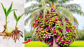 20 Most Unique Fruits Youve Never Heard Of [upl. by Yrakaz]