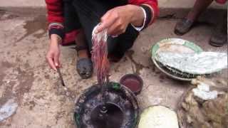 Cochinea Red Dye  The Use of Cochineal Beetles as Natural Fabric Dye in Chinchero Peru [upl. by Voltmer]