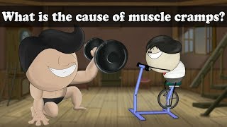 What is the cause of muscle cramps  aumsum kids science education children [upl. by Martineau556]