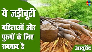 Shatavari Benefits of Shatavari  Shatavar Churna के फ़ायदे  Ayurveda Tips  शतावर चूर्ण health [upl. by Mara212]