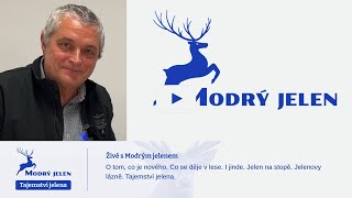 Živě s Modrým jelenem [upl. by Viridi]