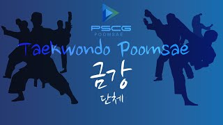 PSCG 태권도 품새 강좌  quot금강quot 단체 [upl. by Denna786]