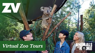 Virtual Tour of Healesville Sanctuary [upl. by Eihcra]