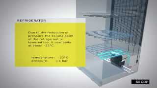 Refrigerant Circuit with a Reciprocating Compressor [upl. by Zenobia]