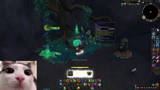 How to get Boon of Goldrinn  World of Warcraft Dragonflight  Emerald Dream Guide [upl. by Nylcoj]