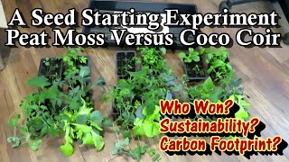 A Seed Starting Experiment  Peat Moss v Coco Coir Who Won Environmental Concerns Your Choice [upl. by Ashely371]