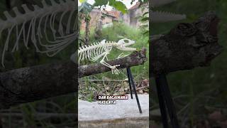 GODZILLA KEMASAN SASET articulating skeleton soa layar “hydrosaurus celebensis” [upl. by Biondo]