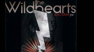 The Wildhearts  Chutzpah Jnr [upl. by Myron545]