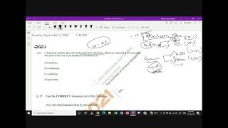 SEDIMENTARY Previous year QampA and Numerical class video1 BRAHMASTRA [upl. by Gelya244]