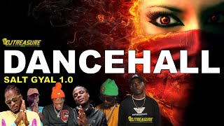 Dancehall Mix 2024 Clean Dancehall Songs 2024 │ SALT GYAL Masicka Chronic Law Alkaline Valiant [upl. by Latty]