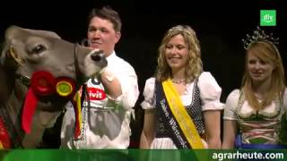 Deutsche Braunviehschau 2014 [upl. by Shifrah]