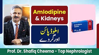 Amlodipine amp Kidneys [upl. by Shurlock]