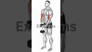 quotMaximize Your Gains Master the Waiter Curlquot ExoGyms [upl. by Yorke600]