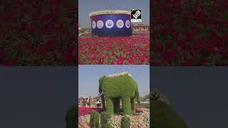 Gujarat 10th Ahmedabad Flower Show commenced at Sabarmati Riverfront [upl. by Allerim]