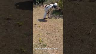 Between beekeeping jobs beekeeping fun soccer football [upl. by Yenruogis]