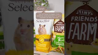 Getting a Hamster  Rehoming Pets  Hamster Pet  Hamster Pet Care  How to care for a new Hamster [upl. by Sebastian]