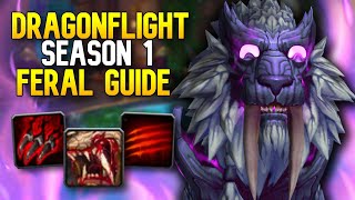 100 Feral Druid Dragonflight PvP Guide  Talents Stats Rotation and MORE [upl. by Ejroj739]