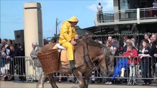 Garnaalvissers te Paard Oostduinkerke tijdens Koetsen Defilé De Panne 2011 [upl. by Kelila]