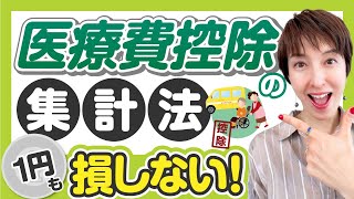 【医療費控除のための集計方法】1円も損しない！医療費集計フォームで取りこぼししない！ by 女性税理士 [upl. by Lalita800]