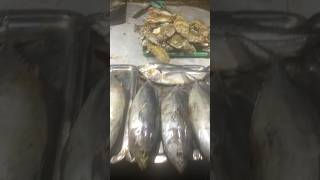 Cox’s bazar Fish Market shorts [upl. by Repotsirhc137]